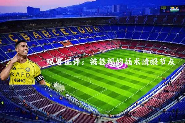 观赛证件:被忽视的战术情报节点